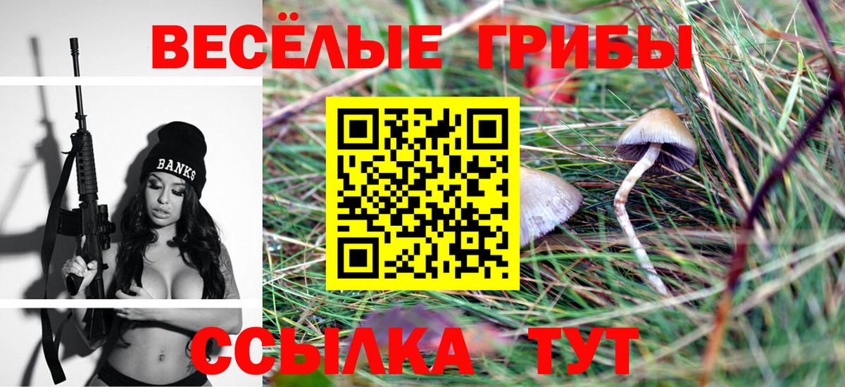 Псилоцибиновые грибы ЛСД Волжский
